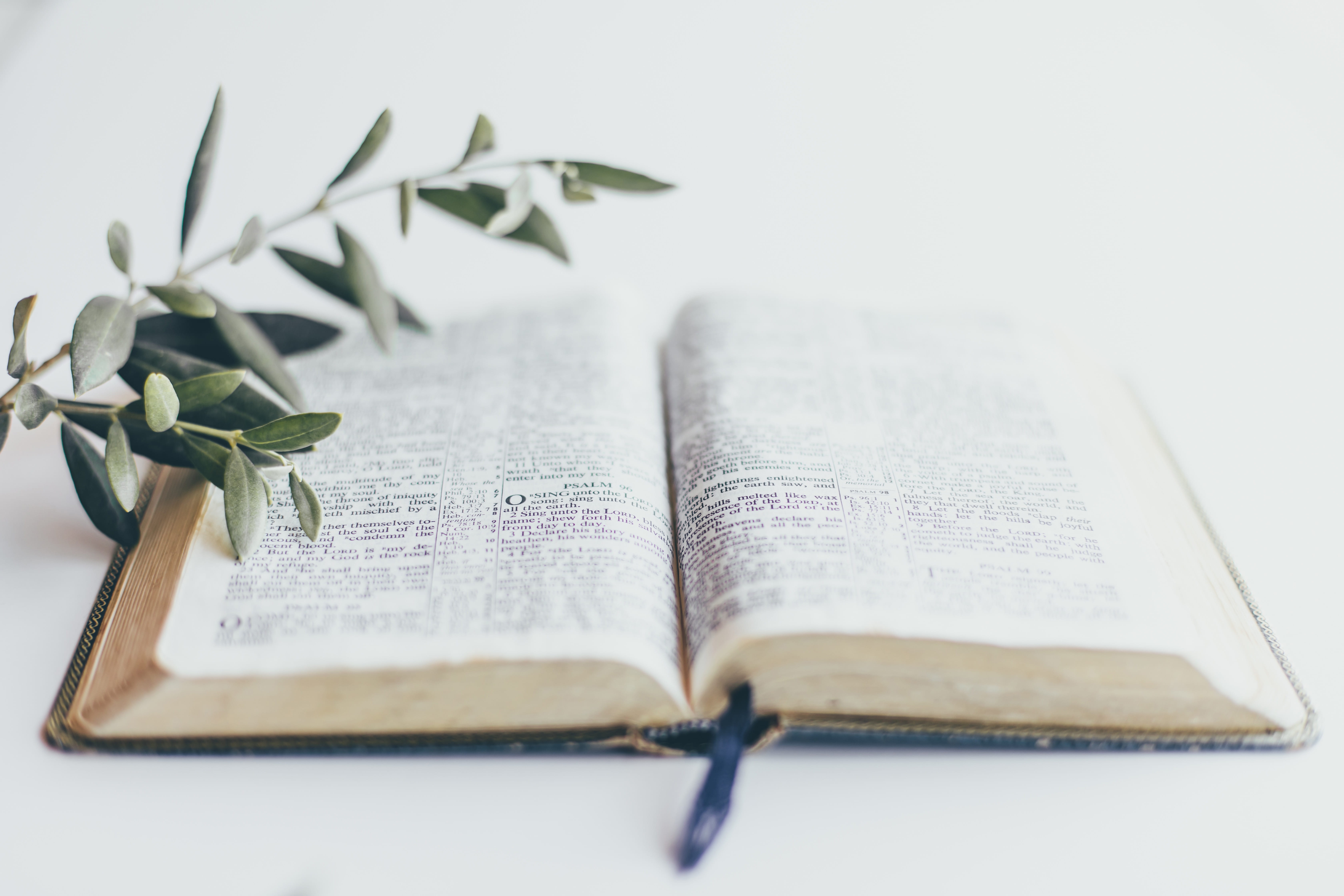 The Power in Jesus’ Name