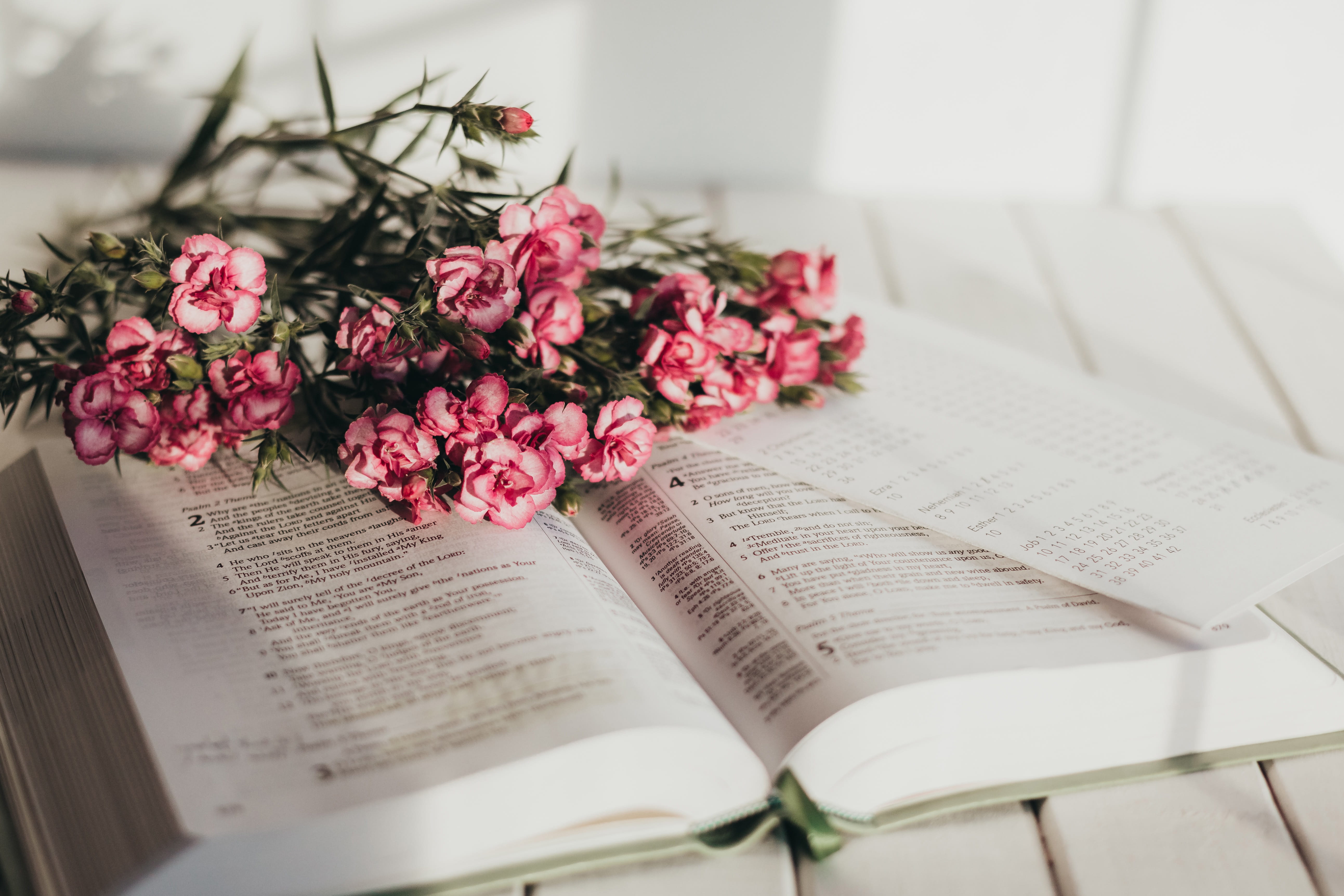 How to Find God’s Will for Your Life