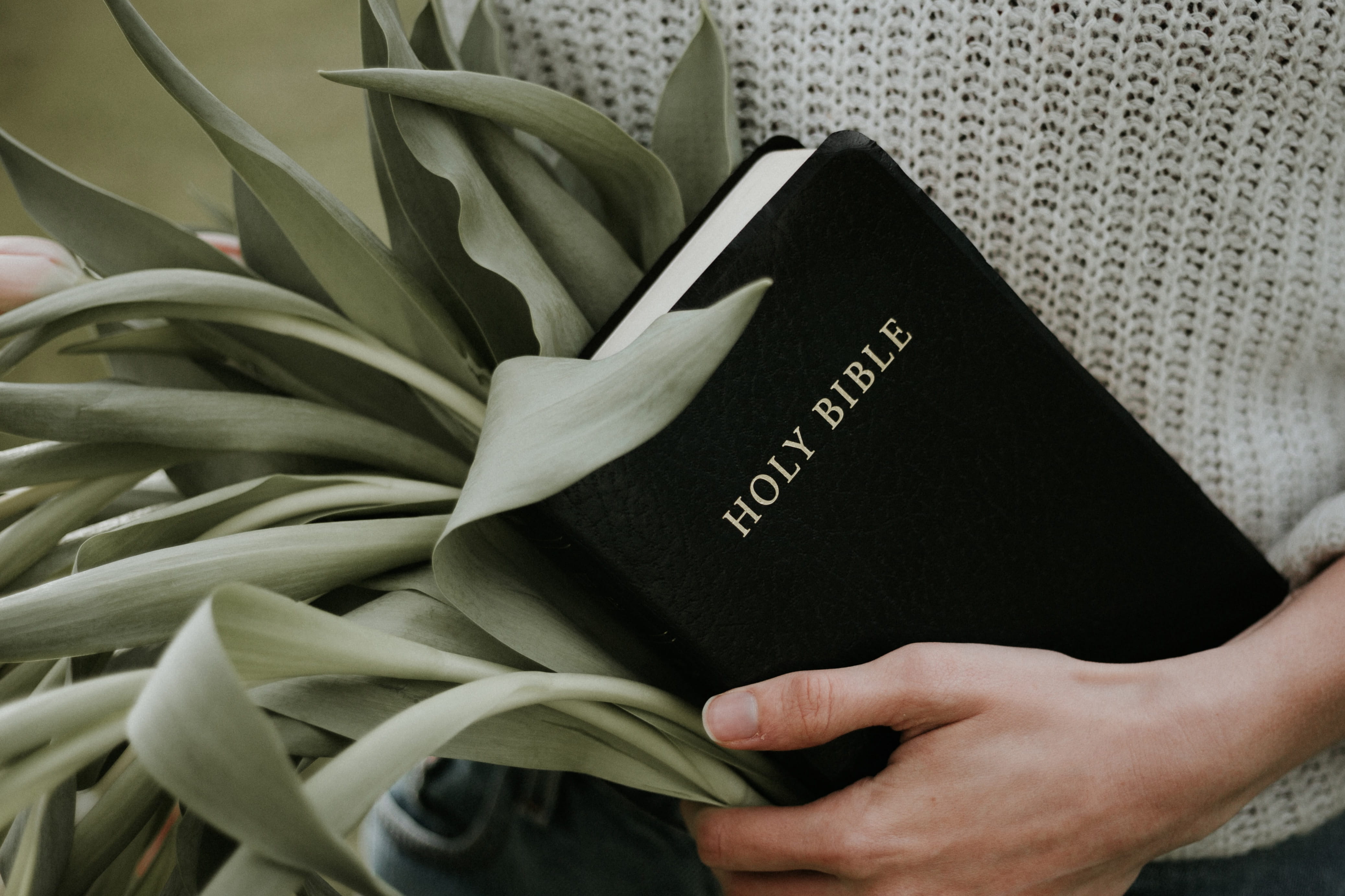 Abide in Christ