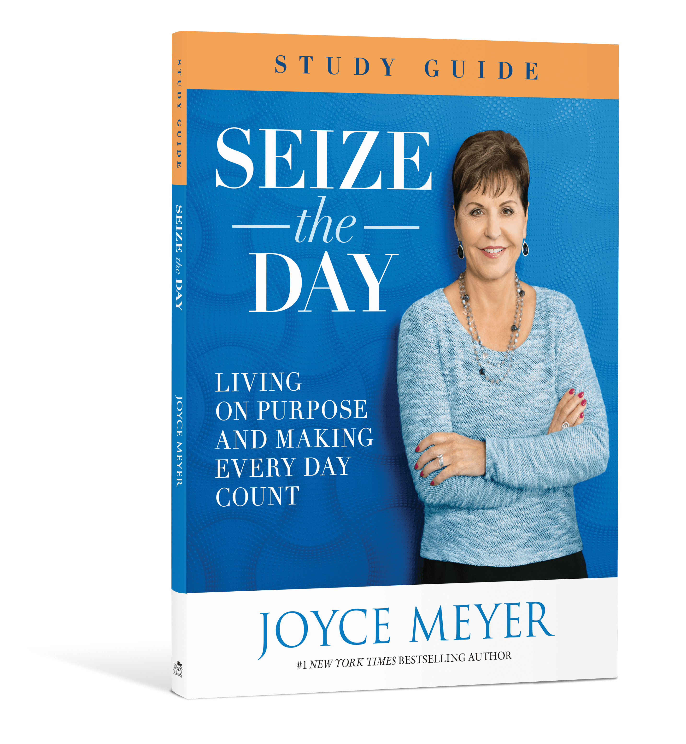 Seize the Day Study Guide