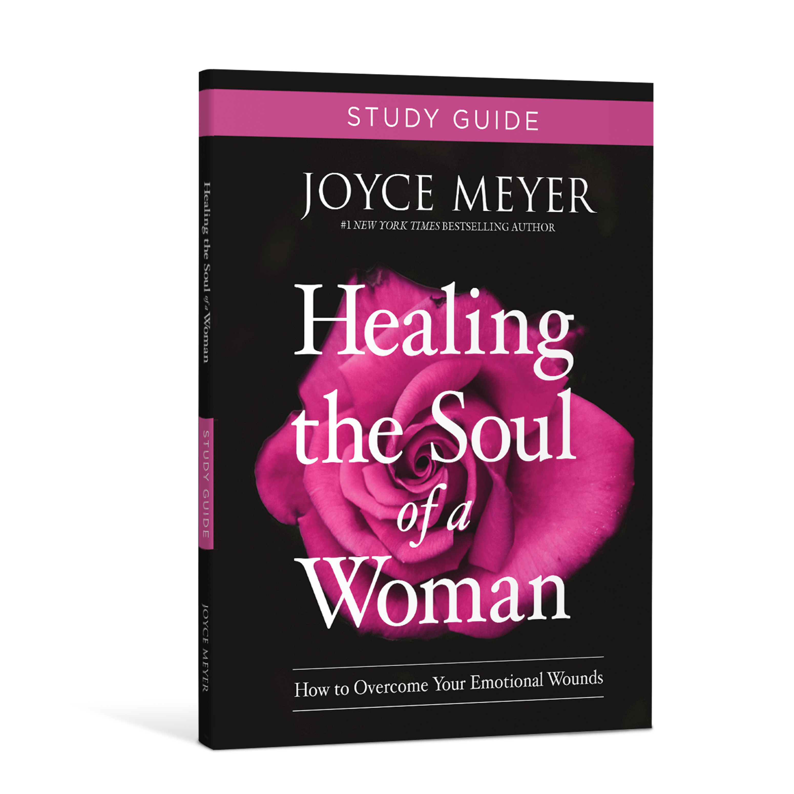 Healing the Soul of a Woman Study Guide 