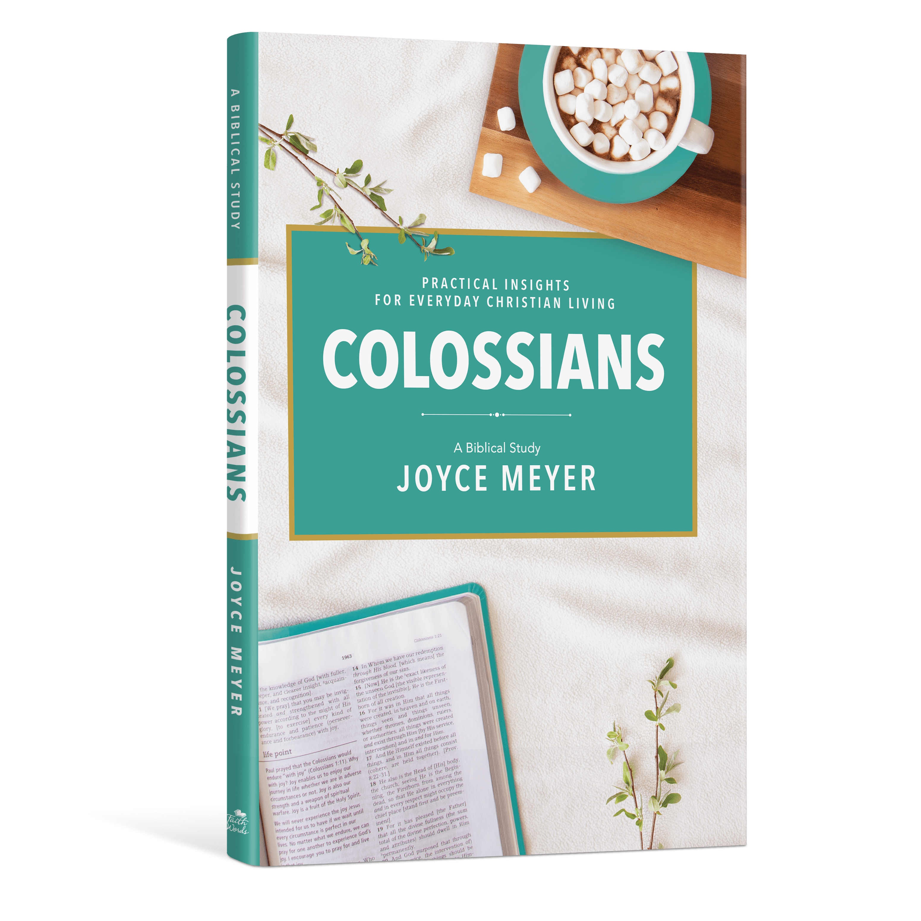 Colossians: A Biblical Study