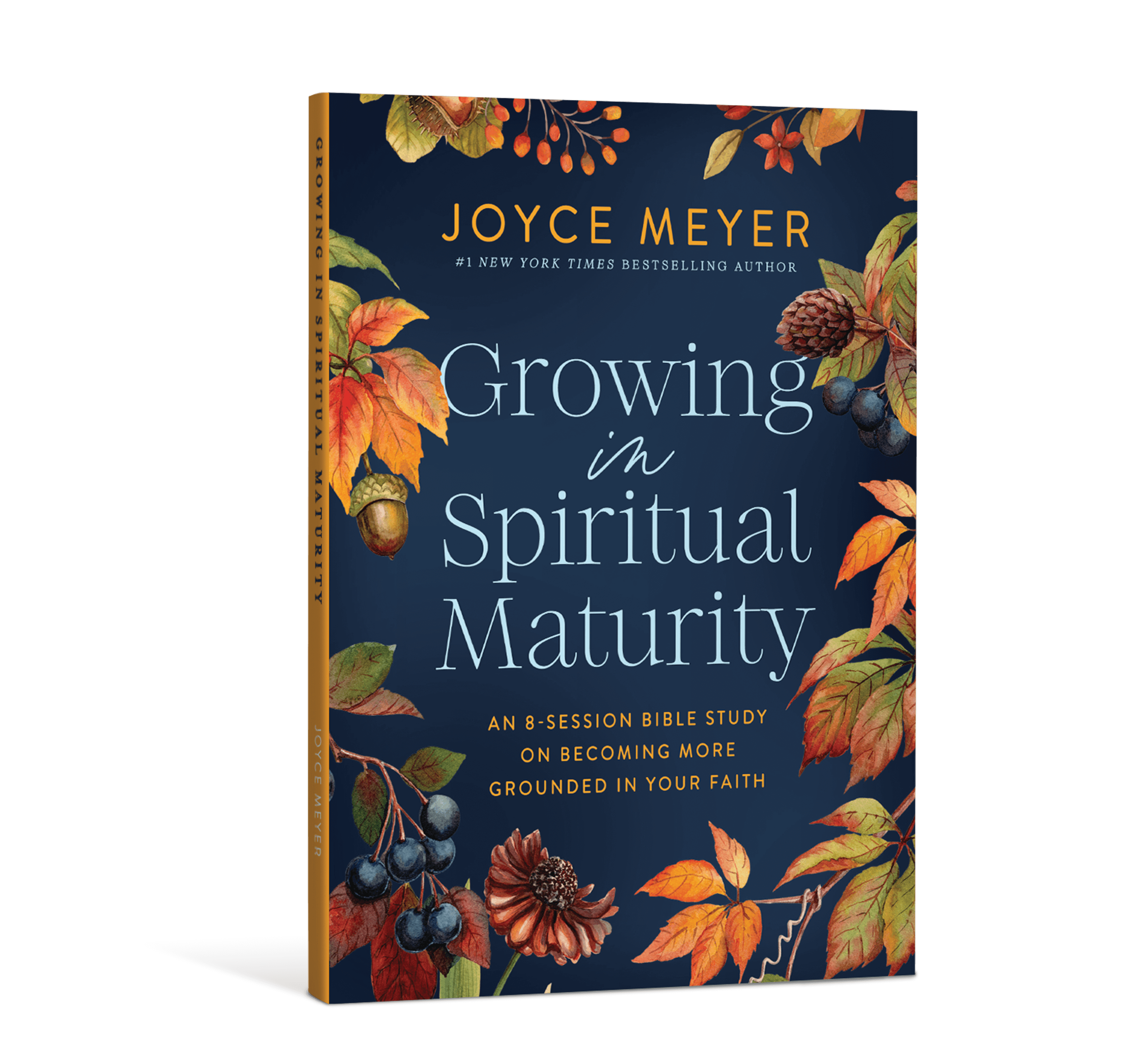 Growing in Spiritual Maturity - Bible Study Guide