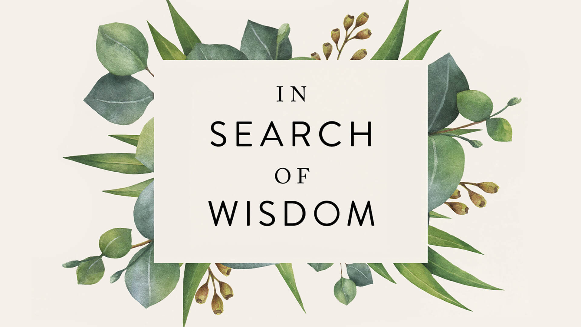 In Search of Wisdom